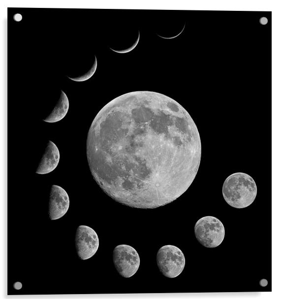 Lunar Montage Acrylic by mark humpage
