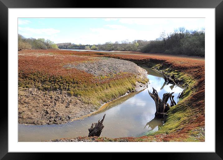 Water Shortage impacted Darwell Reservoir Framed Mounted Print by Robert Dudman