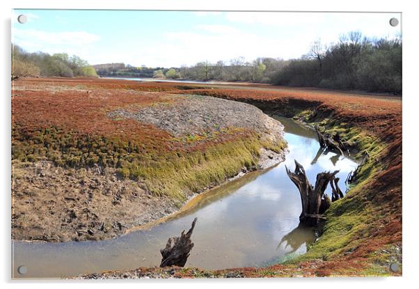 Water Shortage impacted Darwell Reservoir Acrylic by Robert Dudman