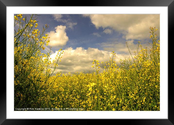 Field of Fuel Framed Mounted Print by Rob Hawkins