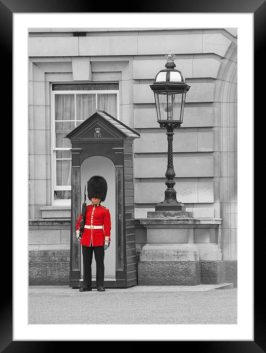 Sentry duty Framed Mounted Print by Peter Jarvis
