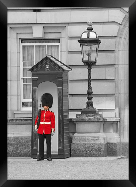 Sentry duty Framed Print by Peter Jarvis