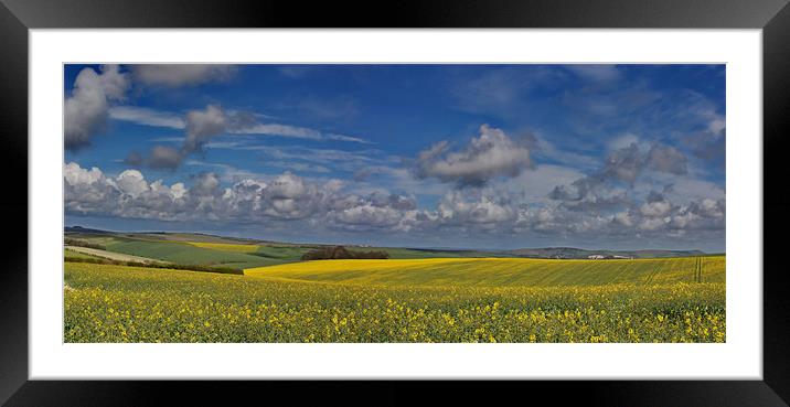 Falmer Fields Panorama Framed Mounted Print by Phil Clements