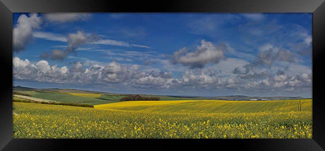 Falmer Fields Panorama Framed Print by Phil Clements