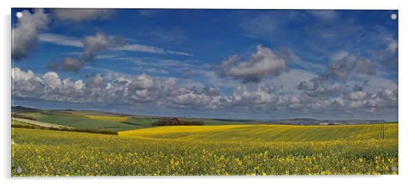 Falmer Fields Panorama Acrylic by Phil Clements