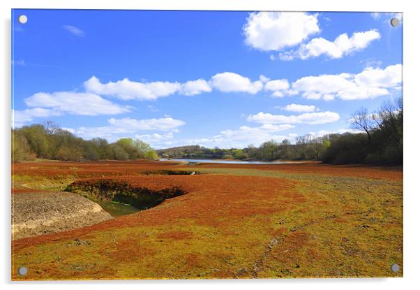 Very Low Darwell Reservoir Acrylic by Robert Dudman