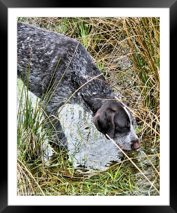 Thirsty Work Framed Mounted Print by James Hogarth