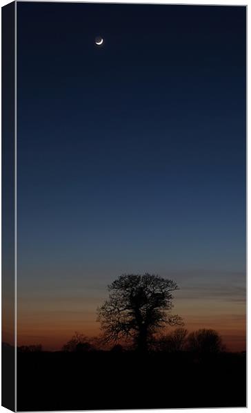 Crescent Landscape Canvas Print by mark humpage