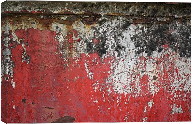 Black and Red Canvas Print by Michael Giacchetto