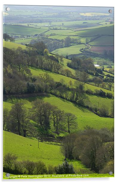 Devon fields Acrylic by Pete Hemington