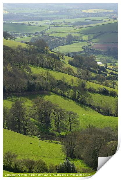 Devon fields Print by Pete Hemington