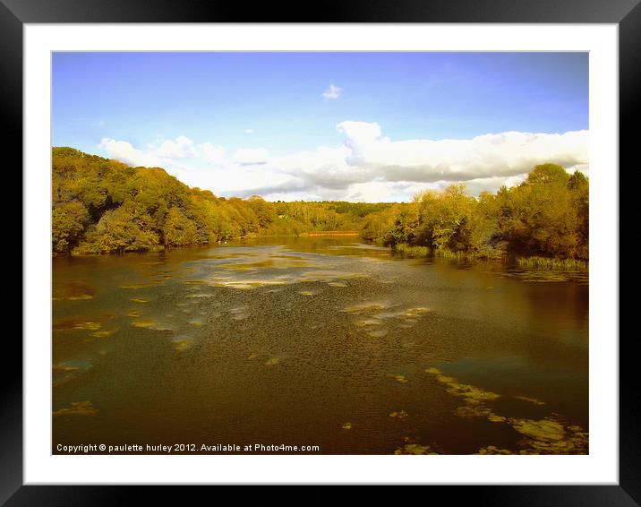 Bosherston Lily Ponds.Pembrokeshire. Framed Mounted Print by paulette hurley