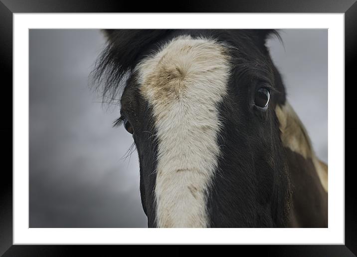 Storm Horse Framed Mounted Print by Jake Holman