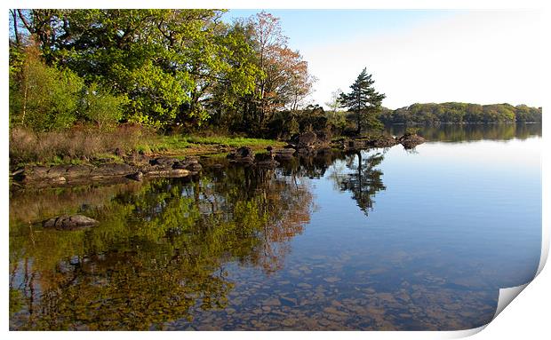 Reflections Print by barbara walsh