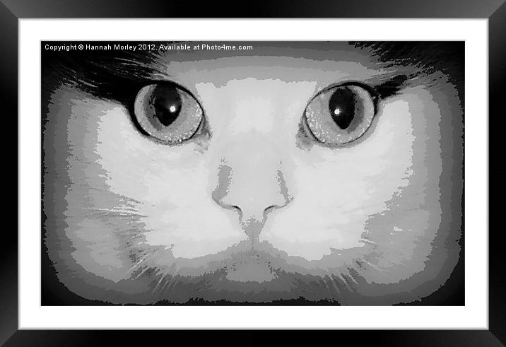 Cats Eyes Framed Mounted Print by Hannah Morley