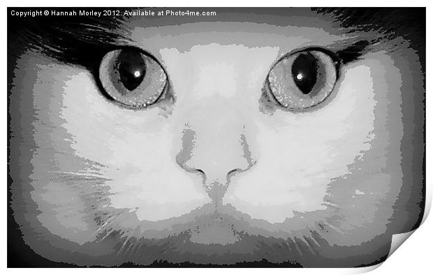 Cats Eyes Print by Hannah Morley