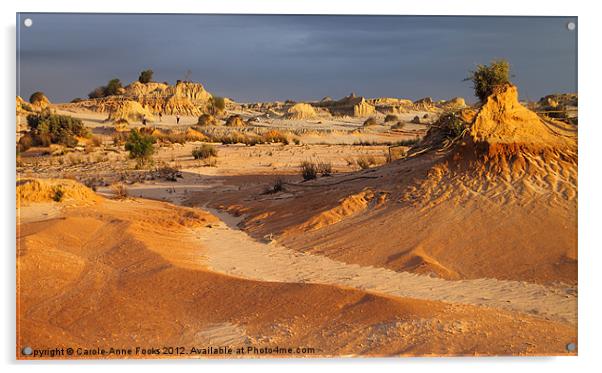 Golden Ancient Land Acrylic by Carole-Anne Fooks