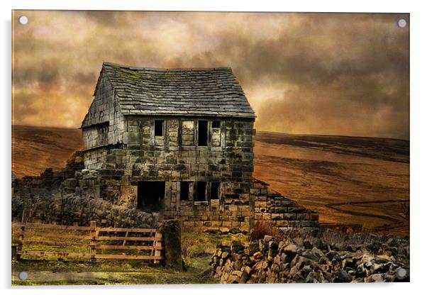 Derelict Cottage Acrylic by Irene Burdell