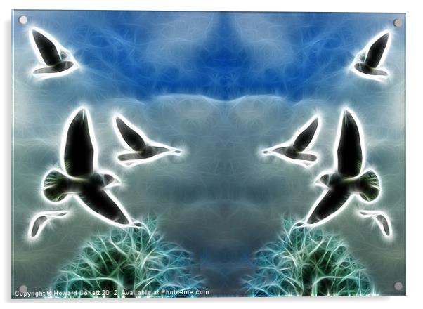 Flight of Fantasy 2 Acrylic by Howard Corlett