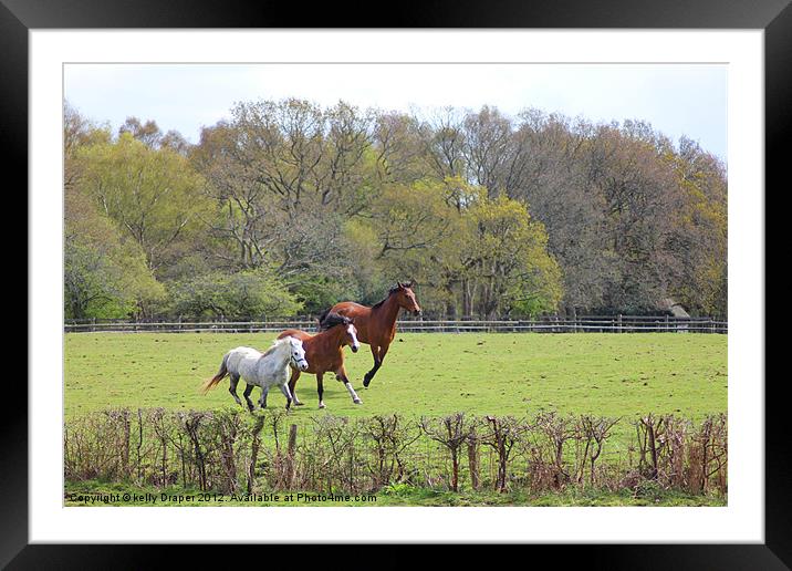 Having a run around Framed Mounted Print by kelly Draper