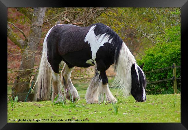 Spot Of Grazing Framed Print by kelly Draper