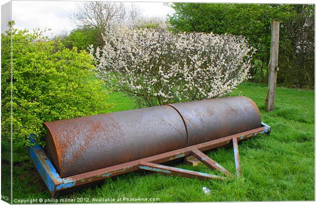 Rolling in The Blossom Canvas Print by philip milner