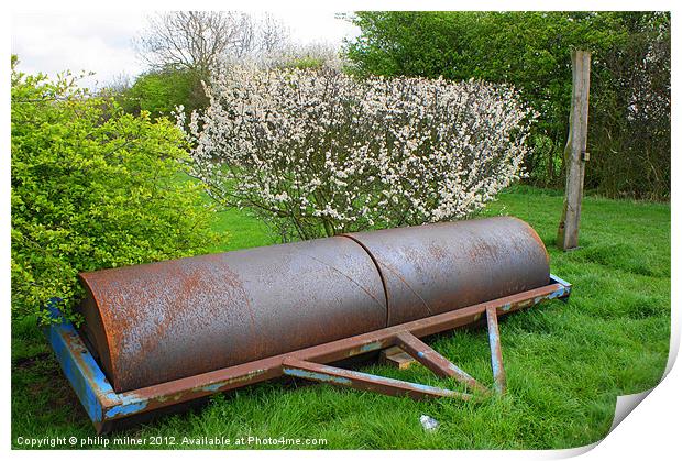 Rolling in The Blossom Print by philip milner
