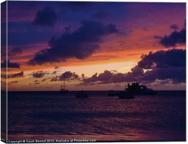 Sunset in Aruba Canvas Print by Sarah Bonnot