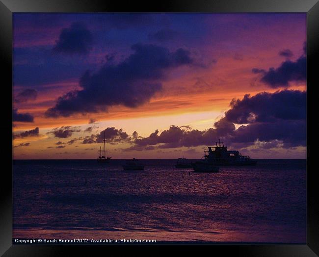 Sunset in Aruba Framed Print by Sarah Bonnot
