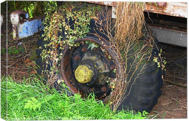 A Mouldy Old Wheel Canvas Print by philip milner
