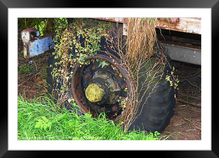 A Mouldy Old Wheel Framed Mounted Print by philip milner
