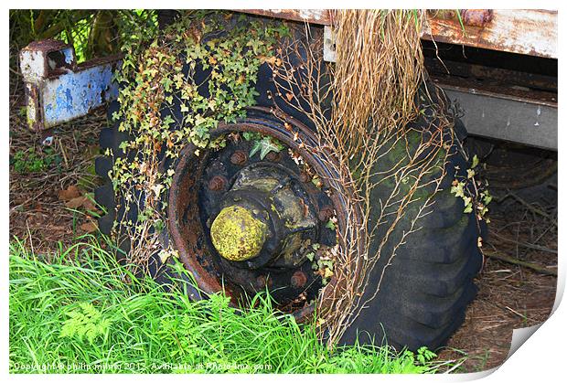 A Mouldy Old Wheel Print by philip milner