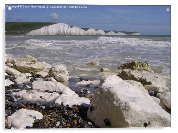 Seven Sisters Cliffs Acrylic by Sarah Bonnot