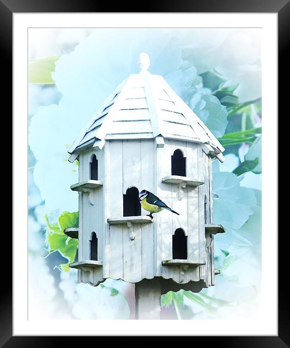 Bird House Framed Mounted Print by Sharon Lisa Clarke