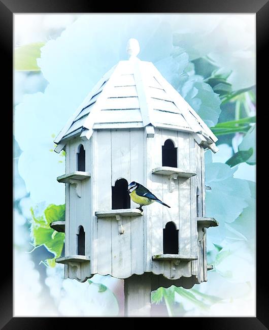 Bird House Framed Print by Sharon Lisa Clarke