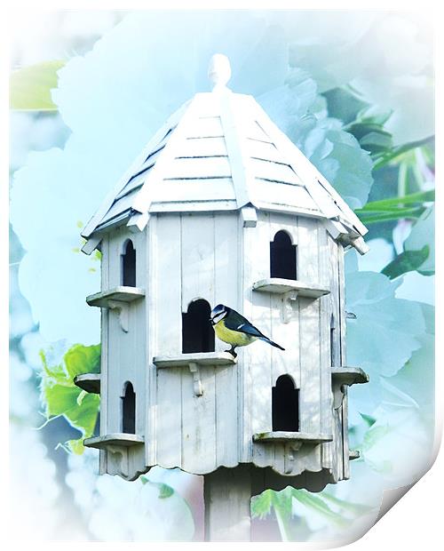 Bird House Print by Sharon Lisa Clarke