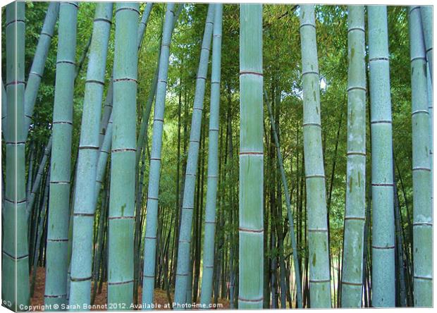 Japanese Bamboo Forest Canvas Print by Sarah Bonnot