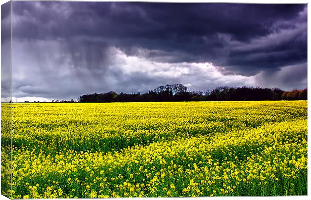 Storm coming Canvas Print by kevin wise