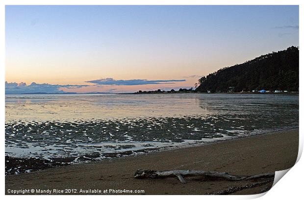 Log on beach at sunset Print by Mandy Rice