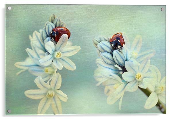 Ladybirds Acrylic by Ellen van Deelen