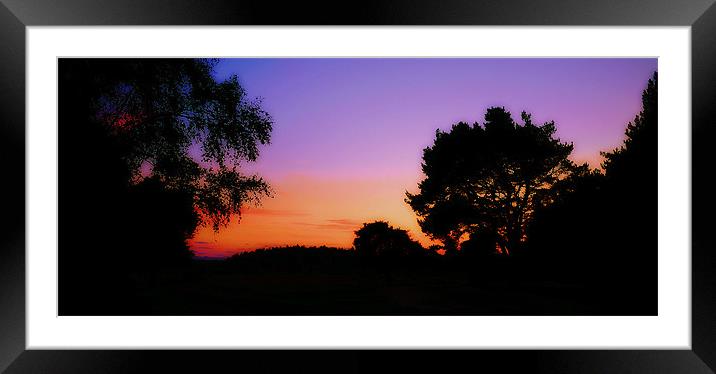 Abstract Silhouette Nature Framed Mounted Print by Louise Godwin