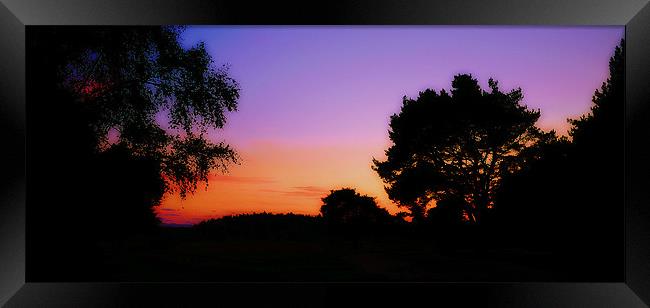 Abstract Silhouette Nature Framed Print by Louise Godwin