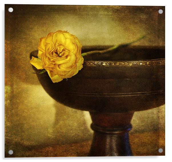A single rose Acrylic by James Rowland