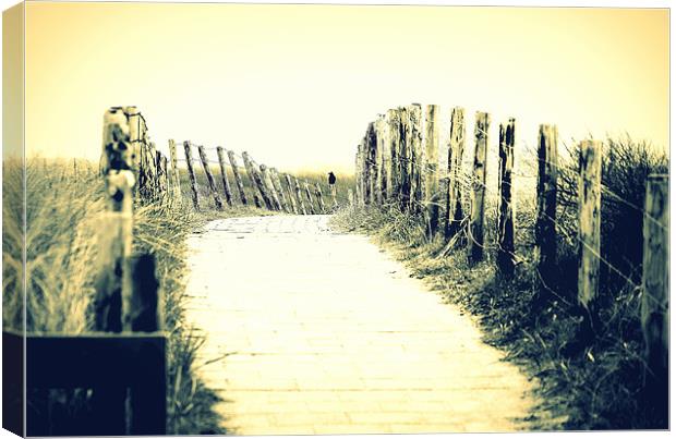 Path to nowhere Canvas Print by neil hiley