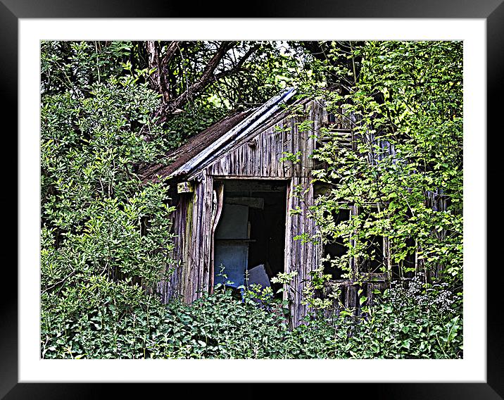 Woodcutters shed. Framed Mounted Print by Peter Oak