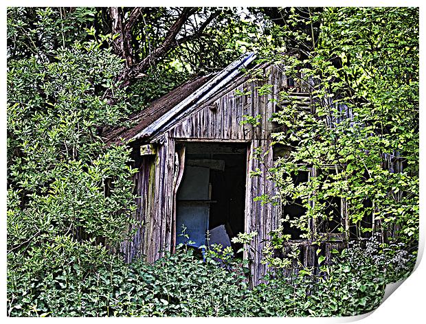 Woodcutters shed. Print by Peter Oak