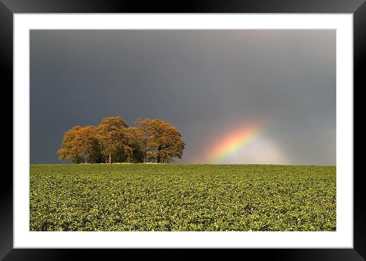Storm Bow Framed Mounted Print by mark humpage