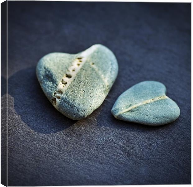 Hearts of stone Canvas Print by James Rowland