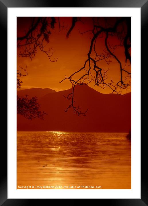 Catbells fell Framed Mounted Print by Linsey Williams