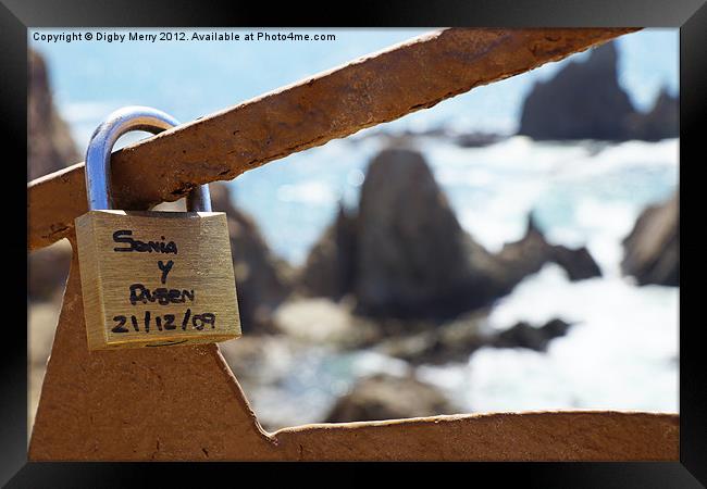 Lover's Locks Framed Print by Digby Merry